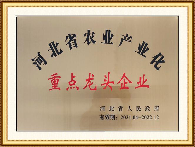 冀中药业